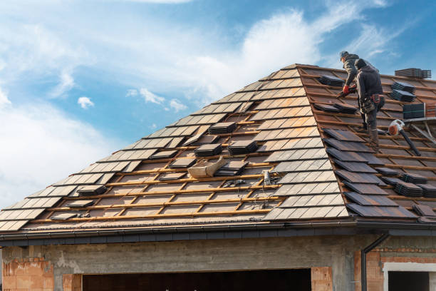 Best Roof Ventilation Installation  in Proctor, MN