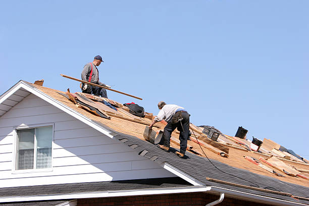 Best Gutter Installation and Repair  in Proctor, MN